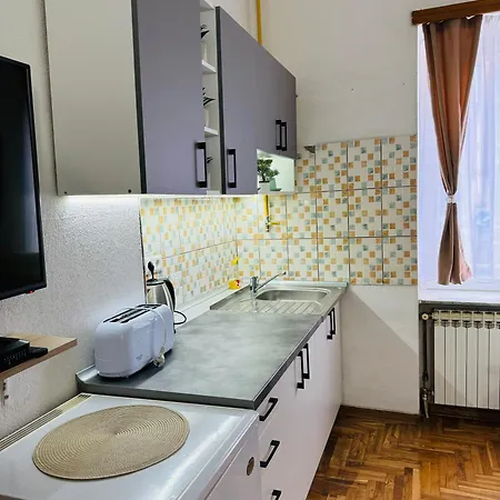 Apartment The Riverside Harmony With Private Parking Sarajevo